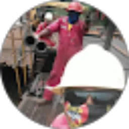 Review From Roy martin simarmata