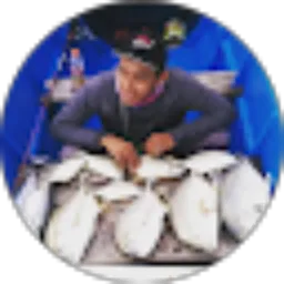 Review From dian willy