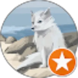 Review From Dedy Tri Wahyudi