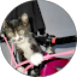 Review From 10_Muhammad Aulia Risky