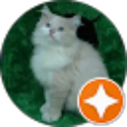 Review From Bemy Kurniawan