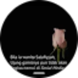 Review From Nur Inayah Alwi