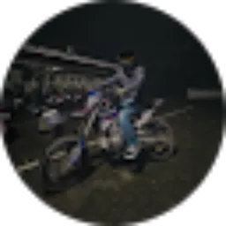 Review From Fran Fredika