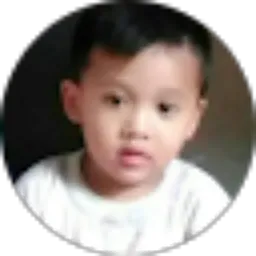 Review From Raden Hartoyo