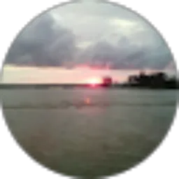 Review From Edi Waskito