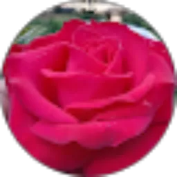 Review From Aisyah Farida triani