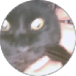 Review From vaaalleennn