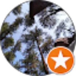 Review From ernica ardi