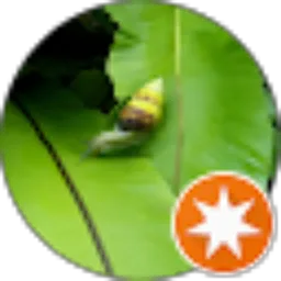 Review From Arief Putra Irawan