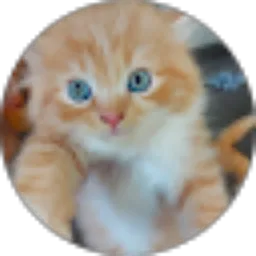 Review From Putri Amora