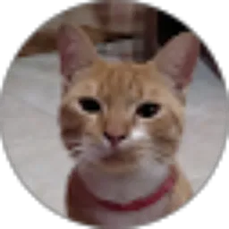 Review From Mi Cha Fyo