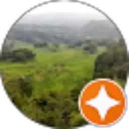 Review From andry kurnianto