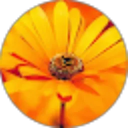 Review From Titus Hdjr