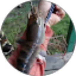 Review From Abu Hafidzh