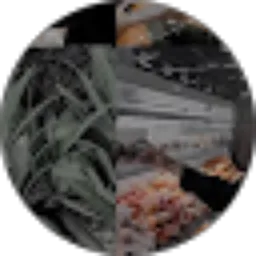 Review From Hafsah Mawli