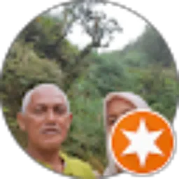 Review From totok indarto