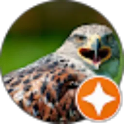 Review From ade yahya