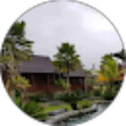 Review From Vanessa