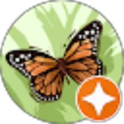 Review From Alisia Niss