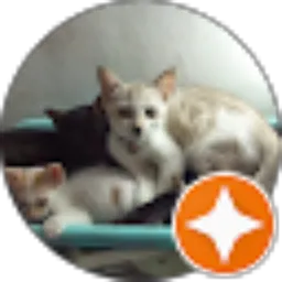 Review From Dian Yulia Arianti