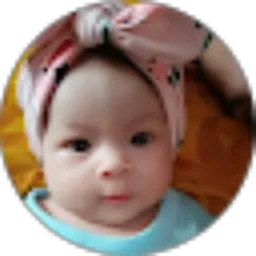 Review From Andri Wijaya