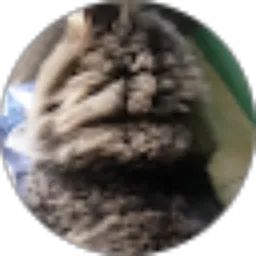 Review From Yuanita botak