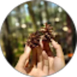 Review From Mareta Mulyani