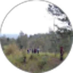 Review From Nisa Sholekhah