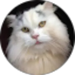 Review From Julie Linda