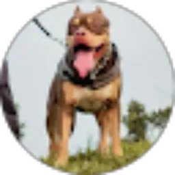 Review From henrypapathepit