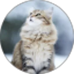 Review From Yuda Eby