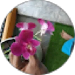 Review From Rizky Fadilah