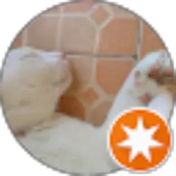 Review From Ratrifahmi