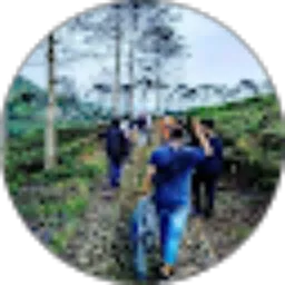 Review From Hanif Mahmudi