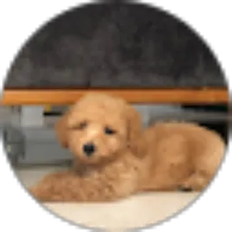 Review From Suci Sofianti