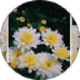 Review From Rahma wati