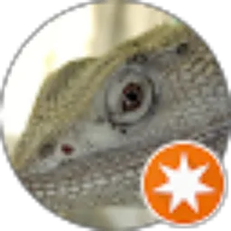 Review From Rendy Fajar