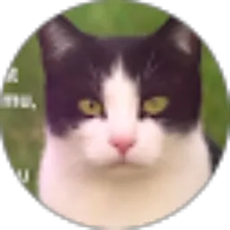 Review From Amir Daeng