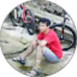 Review From odik budiono