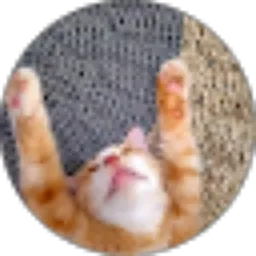 Review From bunga sius