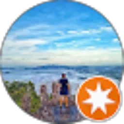 Review From Gedrick Linardy