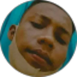 Review From Budi Surono