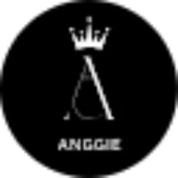 Review From Anggie Rahardian