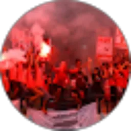 Review From Irfan Faqih