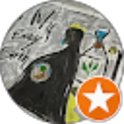 Review From Chims 881