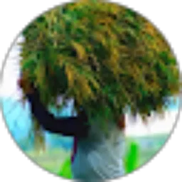 Review From Aidhin bendit