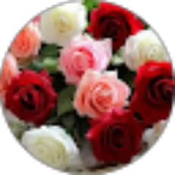 Review From arum wati