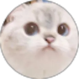 Review From Reza Khusnul