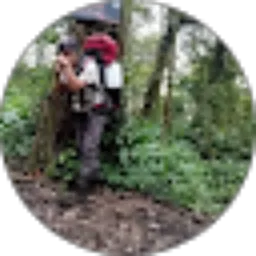 Review From Imam Antono