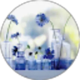 Review From Intan Ridha